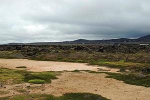 IJsland thingvellir Oppervlakte landschap foto