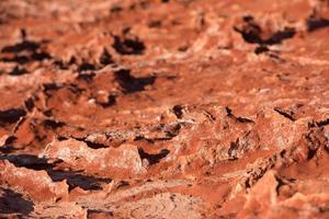 Australië rood bodem detail dichtbij omhoog foto