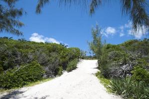 voor de helft maan cay onbewoond eiland zanderig voetpad foto