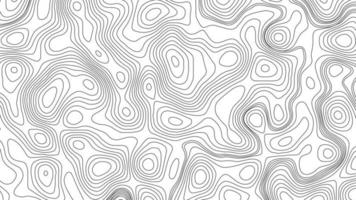 abstract blanco gedetailleerd topografisch contour kaart subtiel wit achtergrond. geografisch topografisch kaart rooster. lijn kaart met verhoging. topografisch cartografie. topografisch kaart. topografisch Verlichting. foto