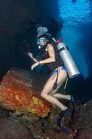 mooi latina duiker spelen met zee leeuw onderwater- foto
