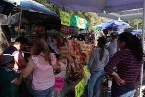 Mexico stad, februari 3 2019 - stad- park chapultepec druk van mensen Aan zondag foto