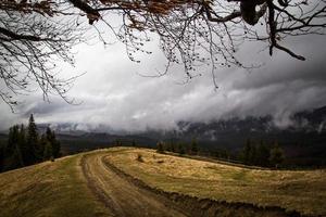 heuvel met band merken en sparren landschap foto