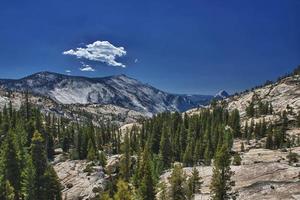 yosemite vallei mooi zonnig visie foto