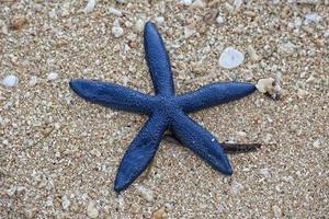 blauw zee ster Aan zanderig strand foto