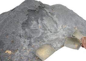 klein aambeien van stenen, grind, verpletterd steen, grijs en zwart kleur geïsoleerd Aan wit achtergrond met knipsel pad foto