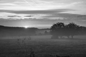 zonsopkomst over- een naburig Woud met weide in de voorgrond. weiland landschap foto