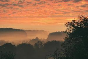 zonsopkomst over- een nevelig Woud. dageraad in fee Woud met dramatisch gloeiend lucht foto