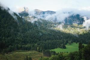 majestueus bergen in de Alpen gedekt met bomen en wolken foto