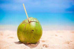 visie van een kokosnoot Aan de strand foto