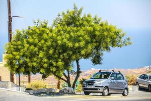 visie van auto en boom foto