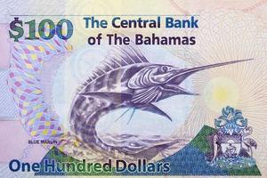 blauw marlijn van Bahamiaans geld foto