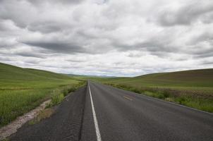 weg voorbijgaan door tarwe velden Aan rollend heuvels foto