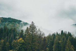 majestueus bergen in de Alpen gedekt met bomen en wolken foto