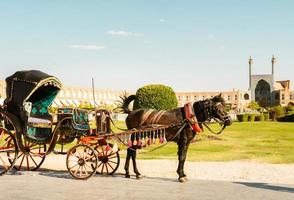 versierd paard vervoer voor rijden, populair lokaal attractie in isfahan, ik rende foto