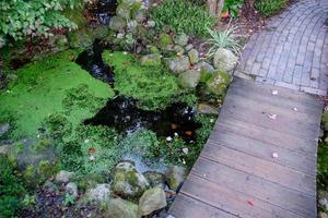 zomertijd in de tuin foto