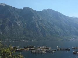 Kotor in Montenegro foto