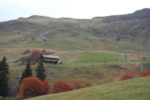 wandelen in de zwitserse alpen foto