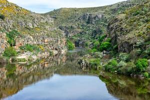 rivier- voorbijgaan door een rotsachtig berg kloof foto