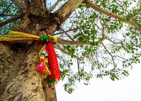 de gekleurde linten Bij de heilig bodhi boom foto