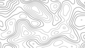 abstract topografisch contouren kaart achtergrond. geografisch berg Verlichting. modern blanco gedetailleerd topografisch contour kaart subtiel wit achtergrond. foto