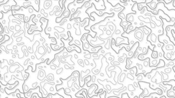 achtergrond van de topografisch kaart. wit Golf papier gebogen reliëfs abstract achtergrond. topografie en aardrijkskunde kaart rooster abstract achtergrond. bedrijf concept. abstractie met plaats voor tekst. foto