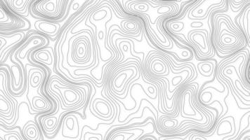 achtergrond van de topografisch kaart. wit Golf papier gebogen reliëfs abstract achtergrond. topografie en aardrijkskunde kaart rooster abstract achtergrond. bedrijf concept. abstractie met plaats voor tekst. foto