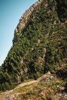 majestueus bergen in de Alpen gedekt met bomen en wolken foto