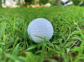 golf bal dichtbij omhoog Aan groen gras Aan wazig mooi landschap van golf Cursus met zonsopgang zonsondergang tijd Aan achtergrond.concept Internationale sport dat vertrouwen Aan precisie vaardigheden voor Gezondheid ontspanning. foto