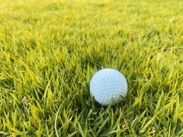 golf bal dichtbij omhoog Aan groen gras Aan wazig mooi landschap van golf Cursus met zonsopgang zonsondergang tijd Aan achtergrond.concept Internationale sport dat vertrouwen Aan precisie vaardigheden voor Gezondheid ontspanning. foto