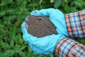 detailopname tuinman handen houdt natuurlijk compost bodem in tuin. concept, inspecteren bodem kwaliteit naar vind de het beste voor groeit planten. landbouw. foto