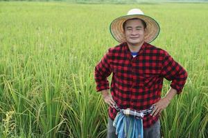 knap Aziatisch Mens boer is Bij rijstveld veld, draagt hoed, rood plaid shirt, zet handen Aan heupen, voelt zelfverzekerd. concept, landbouw bezigheid, boer toenemen biologisch rijst. foto