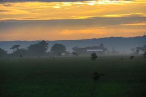 een sereen landelijk landschap van boerderijen foto