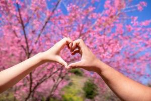 mannetje en vrouw paar tonen hun handen omhoog naar het formulier hart symbool naar tonen vriendschap liefde en vriendelijkheid omdat hart is symbool van liefde. mannetje en vrouw paar tonen hun liefde met hart symbool foto