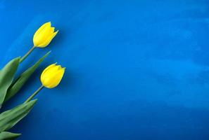 gele tulp bloemen plat leggen op handgemaakte heldere blauwe oceaan grunge abstract foto