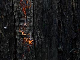 verbrand hout structuur achtergrond foto