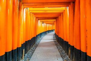 torii-poorten bij het fushimi inari-heiligdom in kyoto, japan foto