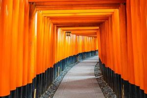 torii-poorten bij het fushimi inari-heiligdom in kyoto, japan foto