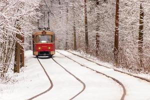 een oud tram in beweging door een winter Woud foto