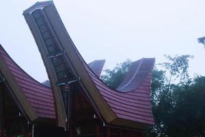 tonkonan, deze is huis voor dood lichaam van toraja zuiden sulawesi, Indonesië foto