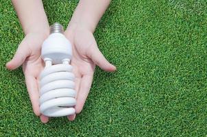 energie besparing concept, vrouw hand- Holding licht lamp Aan gras achtergrond, ideeën licht lamp in de hand- foto