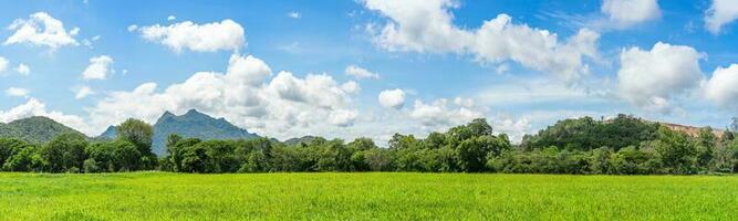 panorama landschap visie van groen gras veld- middel blauw lucht foto