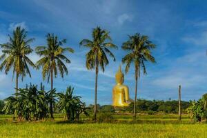 de terug van een groot gouden geel Boeddha Bij wat muang, welke is een belangrijk religieus toerist bestemming in ang string provincie in Thailand foto