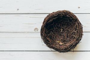 blanco nest Aan hout achtergrond met ruimte foto