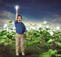 gloeilamp in een ideeën veld- foto