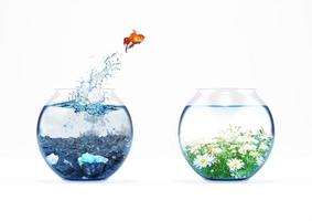 verbetering en in beweging concept met een goudvis jumping van een vuil aquarium naar een schoon een foto
