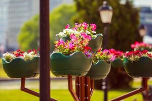 bloemen in een pot Aan de straat foto