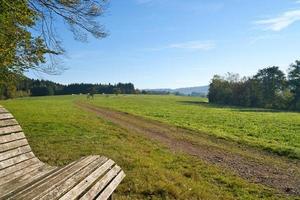 weide met wandelen spoor in rijnland-palts. visie over- veld- met bomen foto