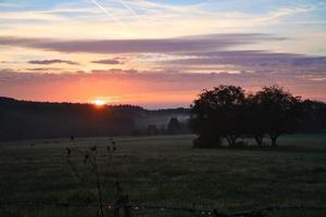 zonsopkomst over- een naburig Woud met weide in de voorgrond. weiland landschap foto