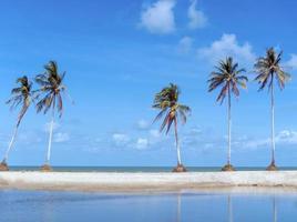 minimale tropische kokospalmen in de zomer met hemelachtergrond foto